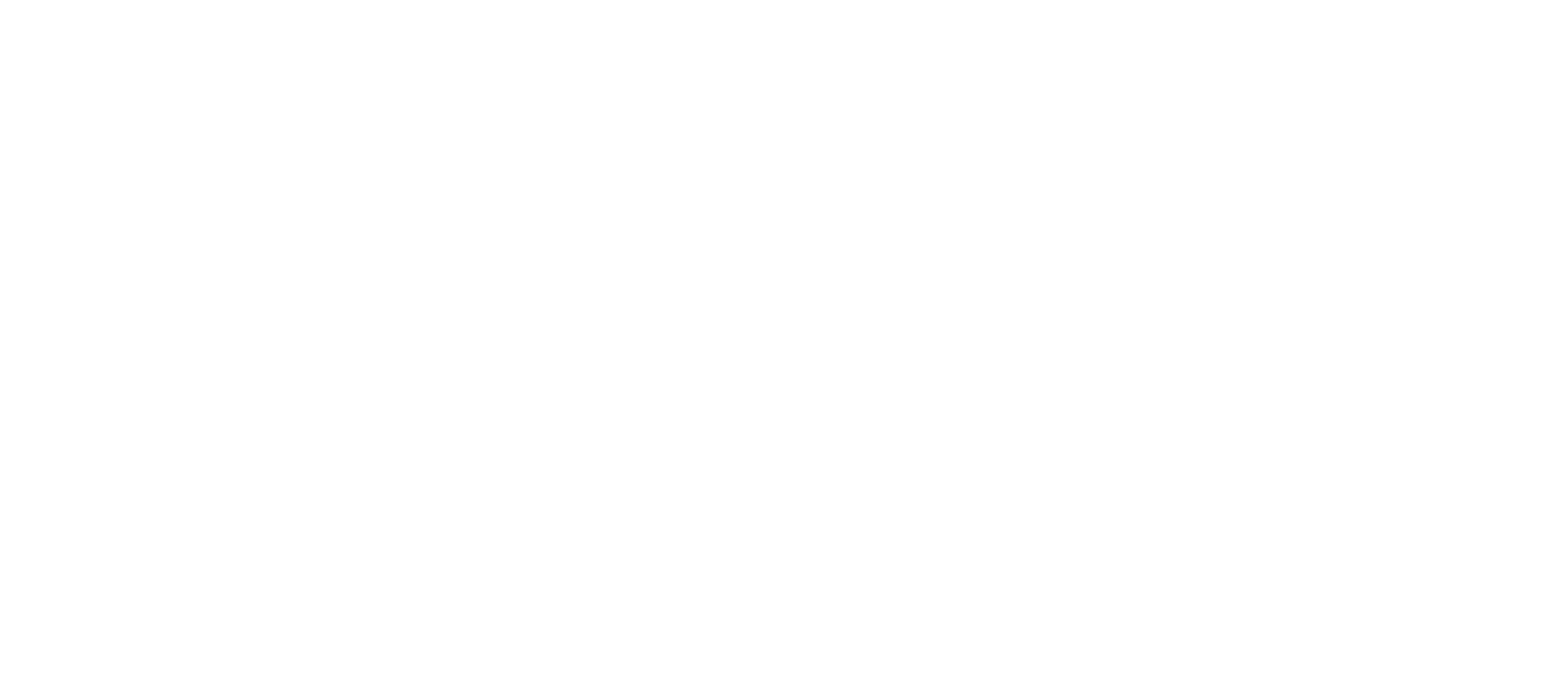 RIDE88